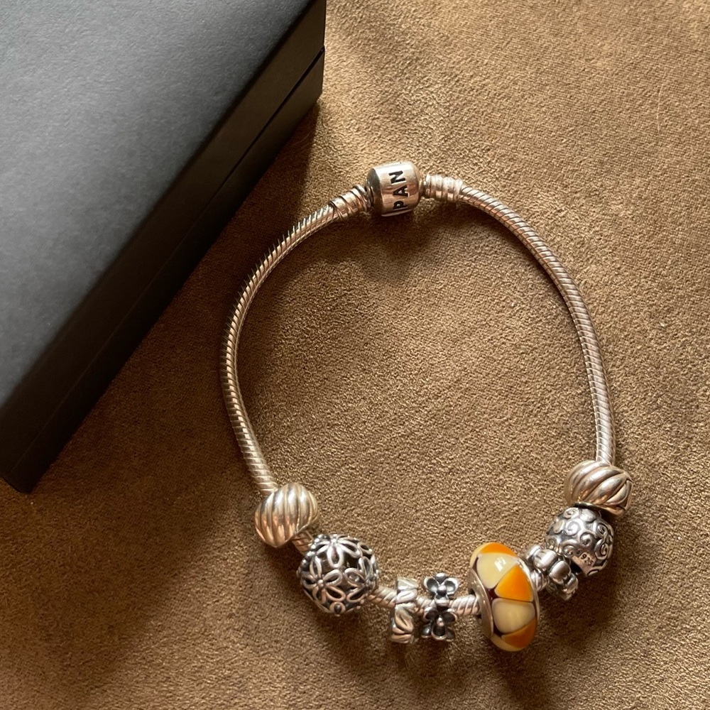 Pandora Snake Bracelet W/ 8 Pandora Charms (2 Clips)